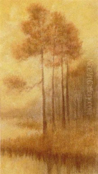 Pine Trees - view 1