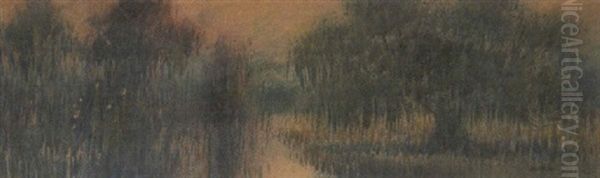 Evening On A Louisiana Bayou - view 1