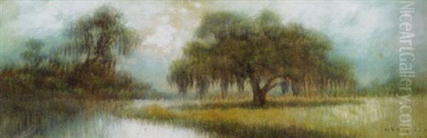 Louisiana Swamp - view 1