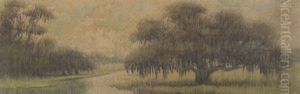 Oak Tree
