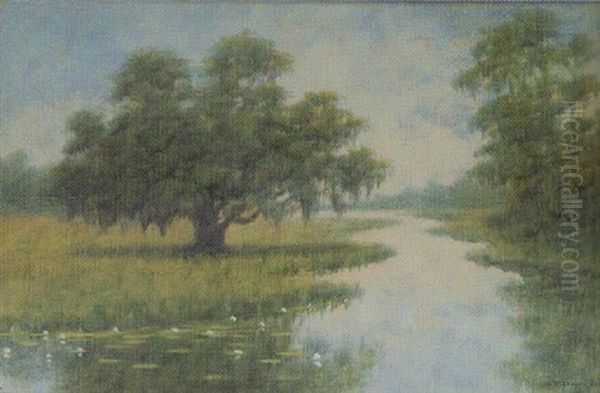 Dueling Oaks - view 1