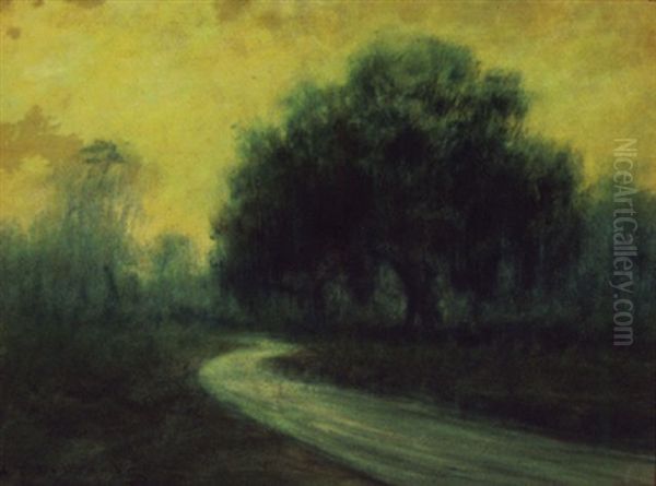 Road Through The Bayou - view 1