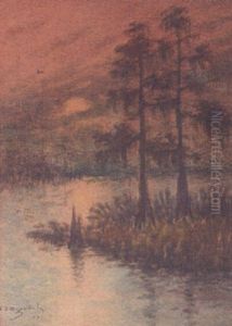 Cypress At Sunset by Alexander John Drysdale