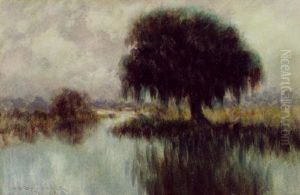 Bayou Landscape With Lone Oak
