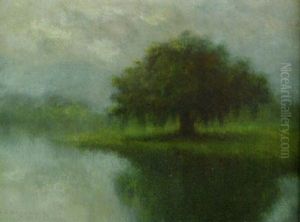 Louisiana Live Oak Along The Bayou