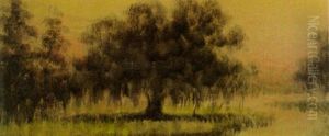 Bayou Landscape With Live Oak At Sunset