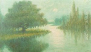 Bayou Landscape At Sunset