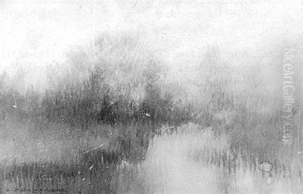 Misty Bayou Landscape - view 1
