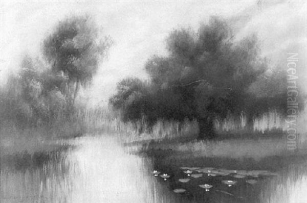Bayou Landscape At Sunset - view 1
