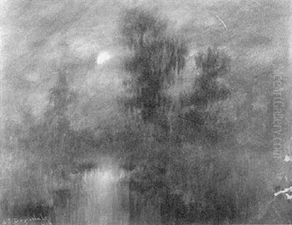 Moon Rise In A Louisiana Swamp - view 1