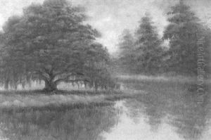 Reflection With Louisiana Live Oak