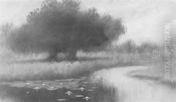 Bayou Landscape With Live Oak And Waterlilies - view 1