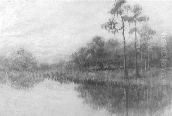 Bayou Scene With Cypress Trees - view 1