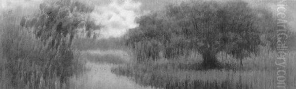 Bayou Landscape With Live Oak - view 1