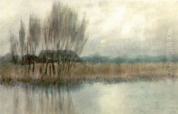 Hazy Bayou Scene - view 1