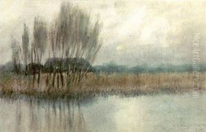 Hazy Bayou Scene by Alexander John Drysdale
