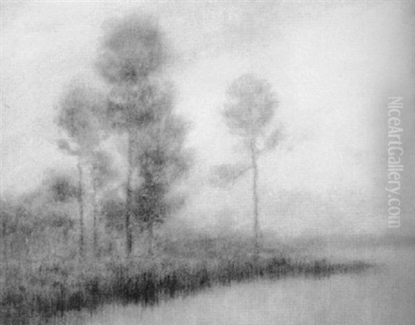 Winter Bayou Landscape With Cypress Trees - view 1