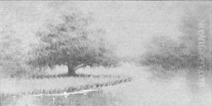 Bayou Scene With Live Oak And Lilypads by Alexander John Drysdale