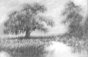 Louisiana Live Oak by Alexander John Drysdale