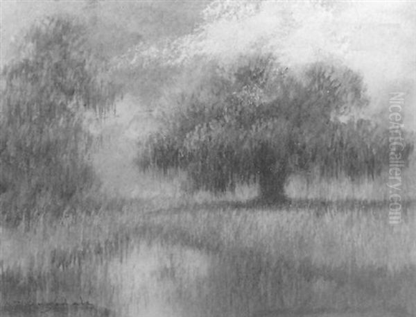 Bayou With Oak - view 1