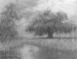 Bayou With Oak