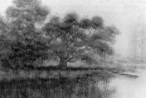 Bayou Peninsula With Pirogue