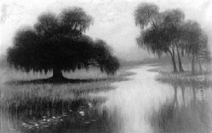 Misty Bayou With Lily Pads by Alexander John Drysdale