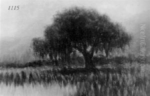 Lone Oak by Alexander John Drysdale