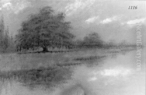 Classical Louisiana Live Oaks - view 1