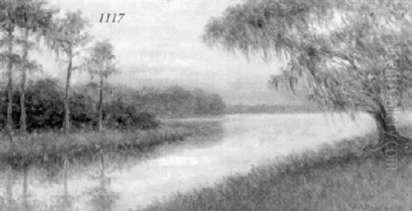 Golden Mist Over The Bayou - view 1
