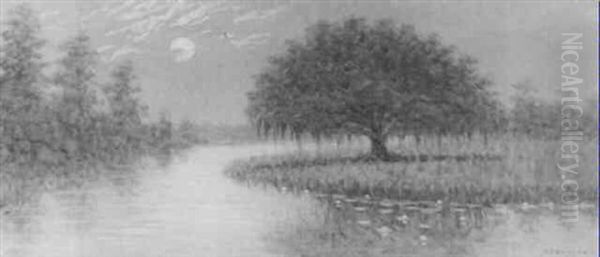 Moonrise Over The Swamp - view 1