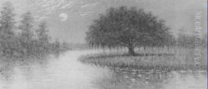Moonrise Over The Swamp