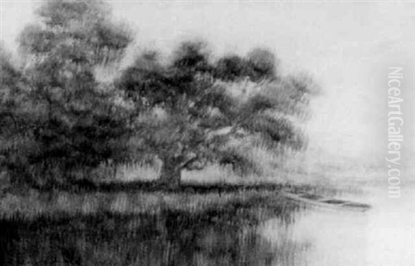 Pirogue In The Shade Of A Live Oak - view 1