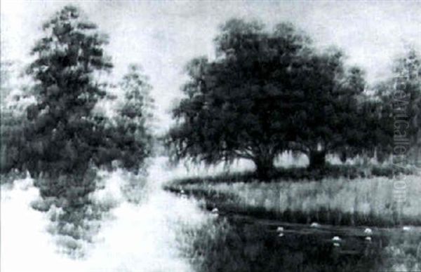 Oaks In The Park - view 1