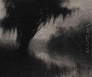 Morning, Bayou