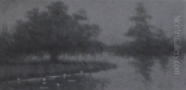 Live Oak At Bayou's Edge - view 1
