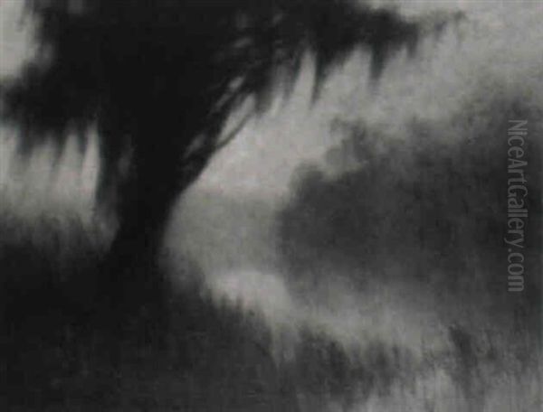 Morning, Bayou - view 1