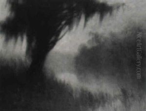 Morning, Bayou