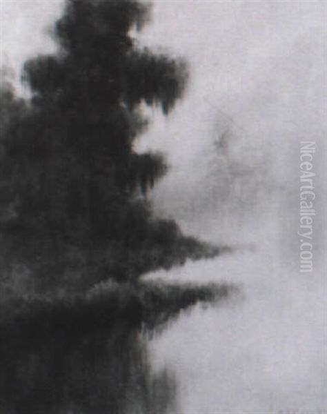 Foggy Morning With Oak Tree - view 1