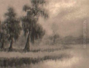 Cypress In The Mist