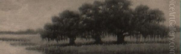 Grove Of Live Oaks At Bayou's Edge - view 1