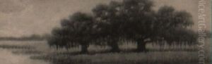 Grove Of Live Oaks At Bayou's Edge