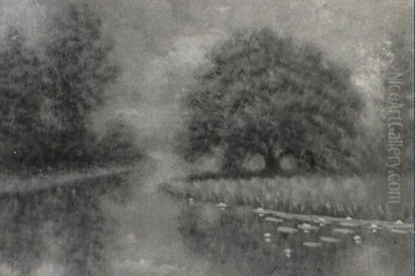 Bayouscape With Lilypads - view 1