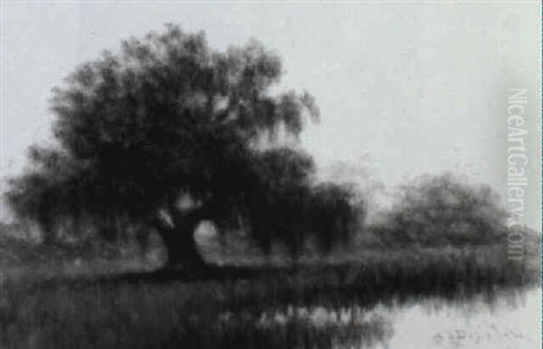 Live Oak At Bayou's Edge - view 1