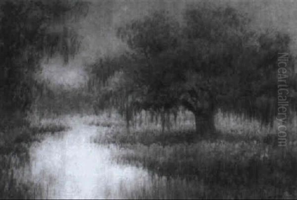 Bayou Scene With Live Oak - view 1