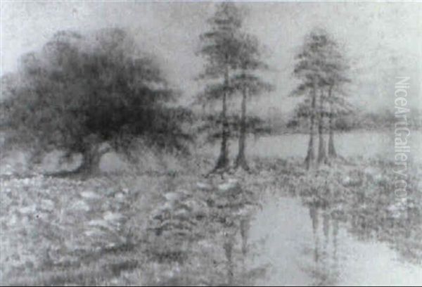 Bayou Scene With Live Oak And Five Cypresses - view 1