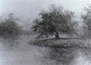Live Oak Near A Bayou