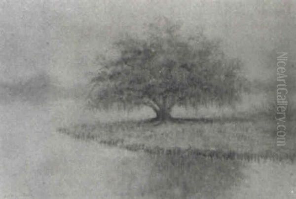 Bayou Peninsula With Oak Tree - view 1