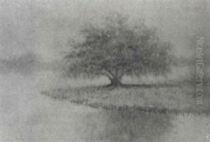 Bayou Peninsula With Oak Tree