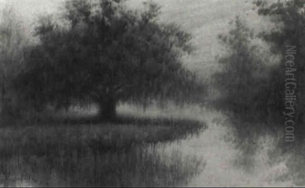Live Oak On The Bayou - view 1
